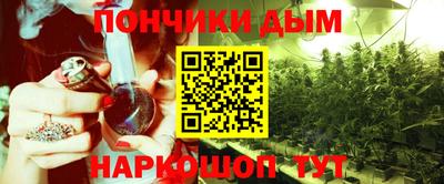бошки Сланцы
